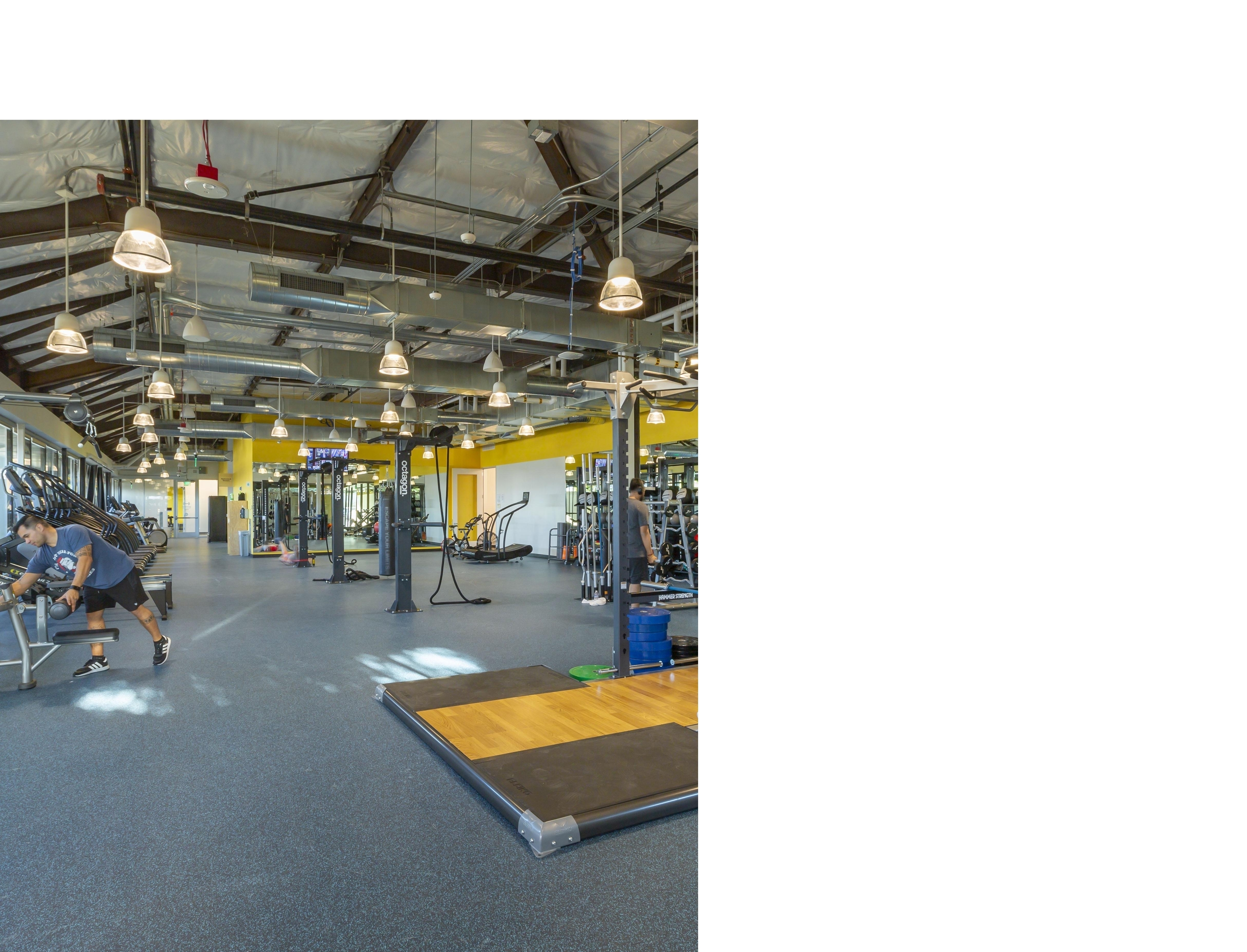 Meta Dumbarton fitness space